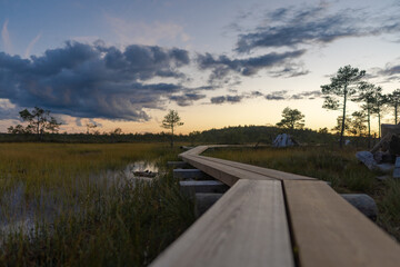 footbridge on the peat bog