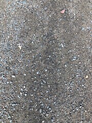 rain drops on the pavement