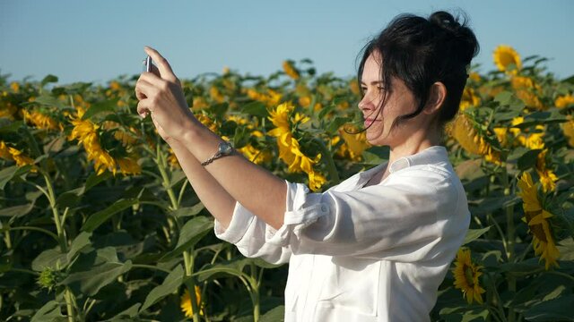 Pretty Woman Takes Selfie Pictures Photos on Smartphone near Sunflower Field. Young Beautiful Female Enjoy Nature Watch Look at Plants. Rural Country Summer Morning. 2x Slow motion 60fps 4K