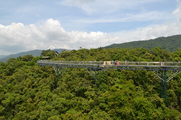 Rainforest Sanya China. Jungle and stone structures.
