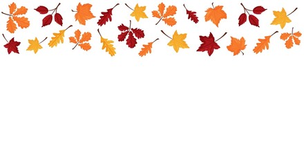 Vector banner with colorful autumn leaves