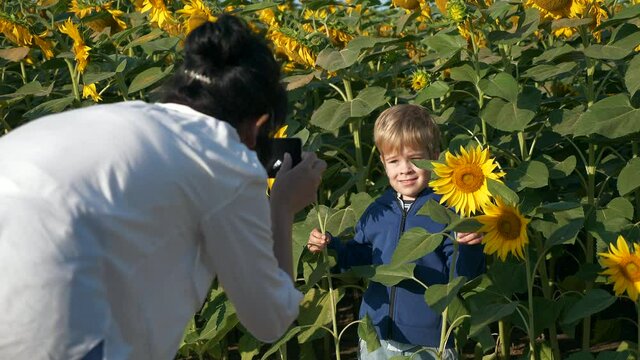 Mother with Son Takes Pictures Photos on Smartphone on Sunflower Field. Woman and Child Enjoy Nature Watch Look at Plants. Rural Country Summer Morning. 2x Slow motion 60 fps 4K