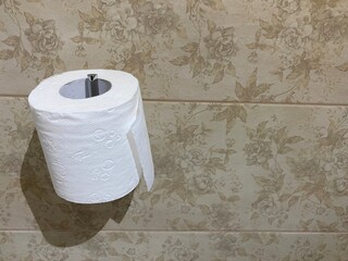 toilet paper on the support