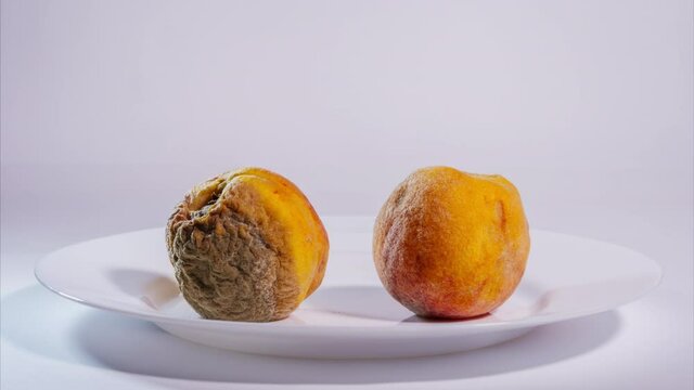 Two peaches rot and frown on a plate. Aging process concept. Long time timelapse