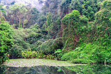 Naklejka premium Lake in Qingxiu Mountain, Nanning city, Guangxi Province, China