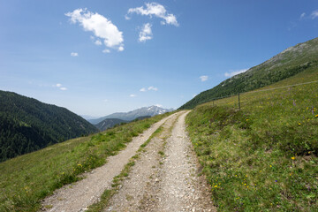 Fototapeta na wymiar Alpine mountain road and hiking trail path in the alps. Summer