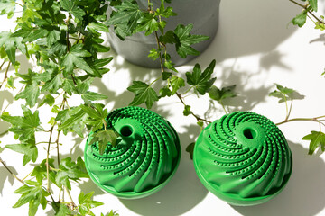 Two green reusable wash ball in a plant