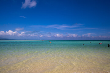 Fototapeta premium beach with blue sky
