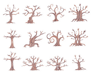 木のカラーイラスト