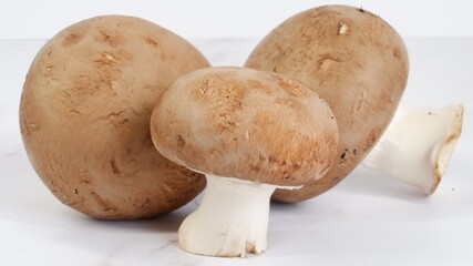 Close up of brown champignon mushrooms