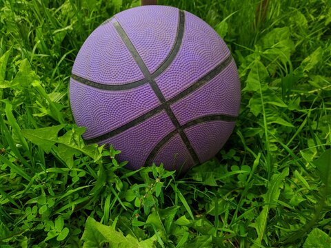 Purple Basketball Ball On Green Grass Closeup Photo.