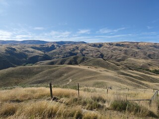 New Zealand highlands in Tarras, NZ. Beautiful tranquil nature