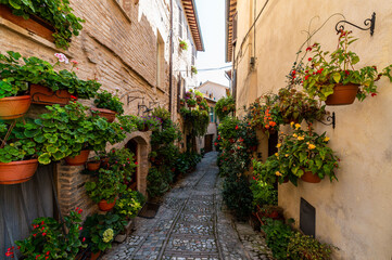 Fototapeta premium alley with flowers in the town of Spello