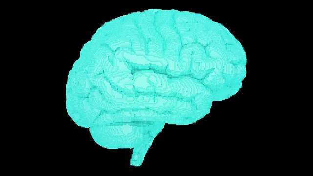 3D turntable pixel art pattern style on brain surface on black background , Computerized Tomography scan concept.