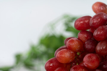 Close-up of a bunch of freshly washed grapes. Selective focus points. Blurred background