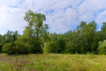 Seiglats Regional Nature Reserve in Île de France country