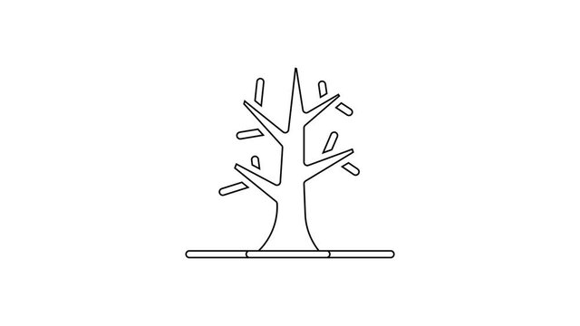Black line Bare tree icon isolated on white background. 4K Video motion graphic animation