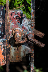 Gartentor verrostet