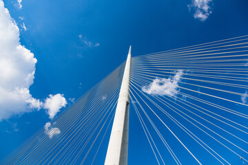 セルビア　ベオグラードのアダ橋