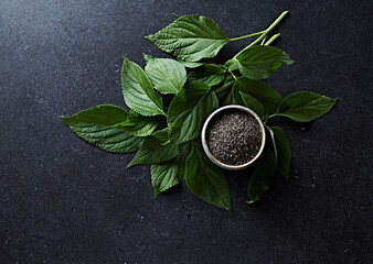 Chia seeds and chia plant leaves. Top view. Copy space - 452297815