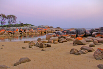 Pink sunrise over rocky beach, rocks covered in orange lichen. Bay of Fires, Tasmania, Australia. No people, Space for copy.