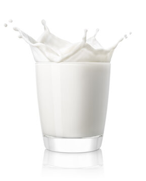 glass of milk with splash isolated on white