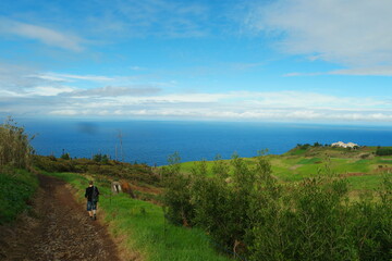 Obraz premium landscape madeira