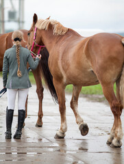 A girl with a scythe leading a red horse under the knots on the wet asphalt.