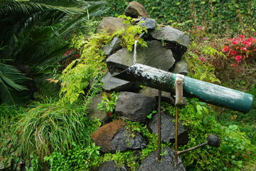 water botanical garden madeira