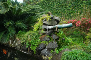 fountain botanical garden madeira