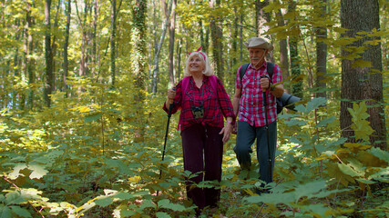 Senior grey-haired old Caucasian man and woman walking in forest with sticks on sunny day. Grandmother grandfather tourists hiking with backpacks and trekking poles in wood. Tourism and travel concept