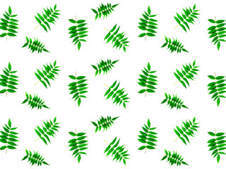 Patterned pattern of green leaves for textiles and wrapping paper. Vintage background.