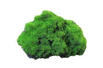 Rock covered in green moss isolated on white background