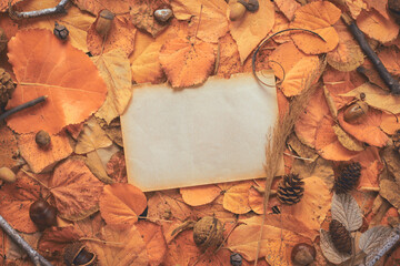Creative autumn season layout with blank old note paper as copy space