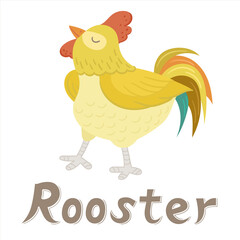 Rooster. Vector flat illustration. Alphabet card. Cute cartoon animal card.