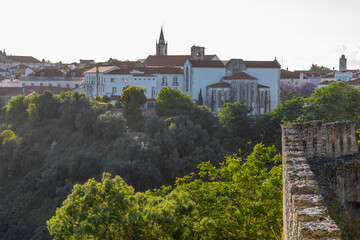 Church of Santa Maria da Graça in Santarém, Portugal