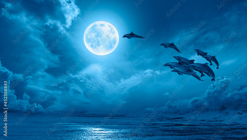Poster silhoutte of beautiful dolphin jumping up from the sea at sunset with full moon 