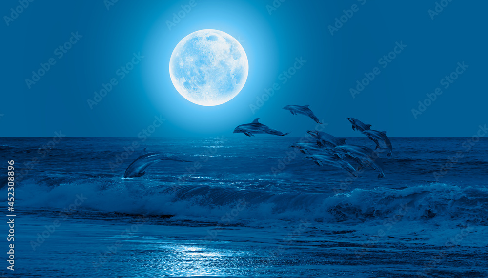 Poster silhoutte of beautiful dolphin jumping up from the sea at sunset with full moon 