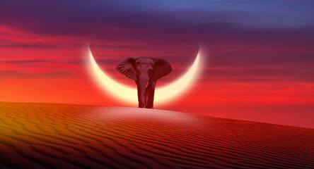 An African elephant walking on the sand dune with moon at dusk"Elements of this image furnished by NASA"