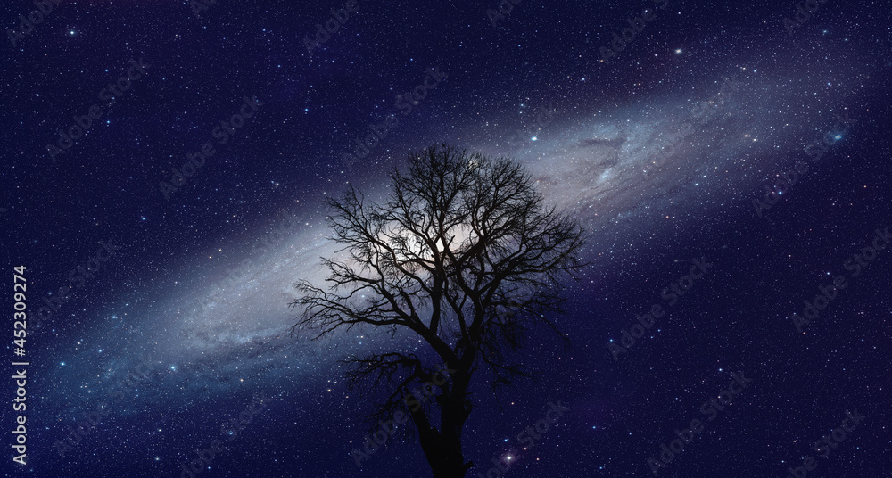 Aufkleber Lone dead tree with amazing Andromeda  Galaxy at sunset 