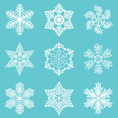 Fototapeta na wymiar Set of snowflakes in Tree Branch style, Vector design
