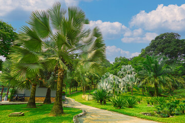 Tropical Urban Park