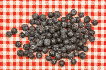 myrtilles sur tissu Vichy