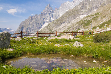 Mont Blanc massif: view of the Saussurea Botanic Garden with idyllic little lake in Aosta Valley,...