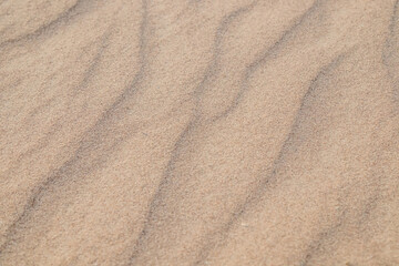 Naklejka na ściany i meble Desert sand close-up as background