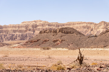 Fantastically  beautiful landscape in summer in Timna National Park near Eilat, southern Israel.