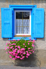 Fototapeta na wymiar Finestra di legno azzurra con fiori, Wooden pale blue window with flower
