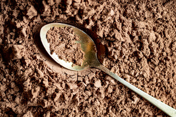 Golden spoon in cocoa powder