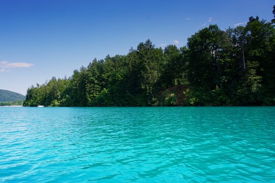 Idyllic view of blue lake Faak in austria with trees in background