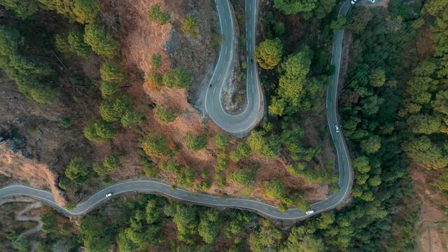 Aerial view of vehicles driving a twisting road in forest near Manali township, Himachal Pradesh, India.
